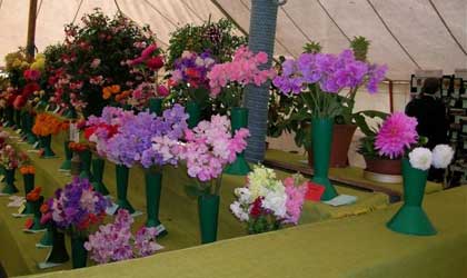 Flower tent